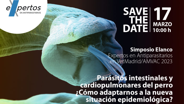 save-the-date-antiparasitarios