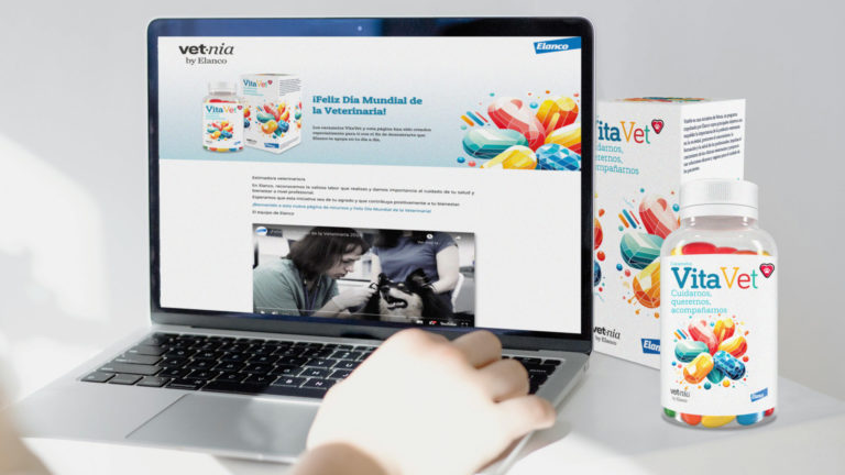 mockup_VitaVet_noticia