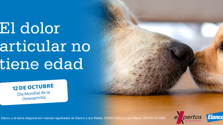 imagen_OA Día Mundial de la OA